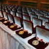 ACDO_2011_001