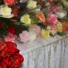 ACDO_2011_005